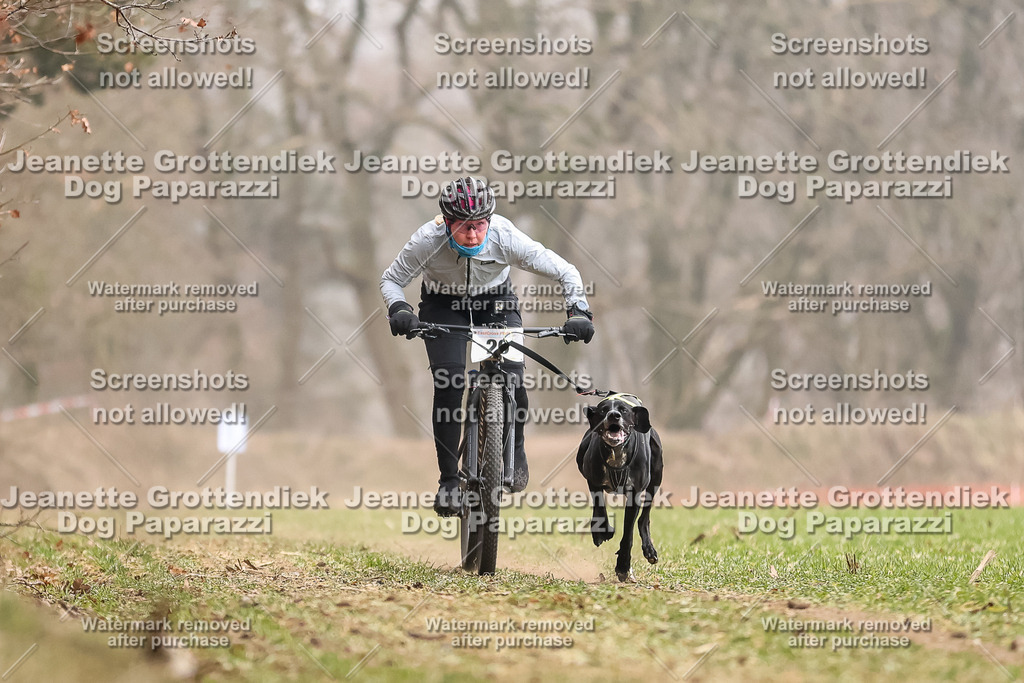 Dog Paparazzi - Plate 2026-70 | Dog Paparazzi Jeanette Grottendiek Fotografie & Videografie - Realisiert mit Pictrs.com