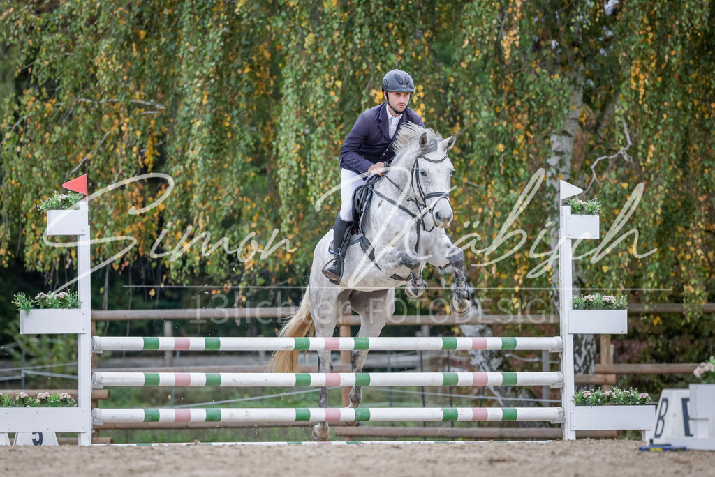 20251012-_3LI3754 | Tierfotografie Pferde, Hunde, Katzen, Haustiere.
Turnierfotografie Reitturniere, Reiten, Springreiten, Dressur in Hanau, dem Main-Kinzig-Kreis und dem Rhein-Main- Gebiet um Frankfurt