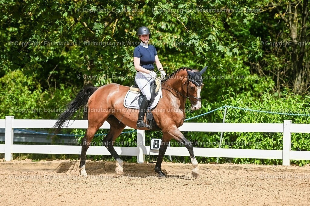 20230715_02_Dressurreiterprüfung Kl.L_0328 | equistock