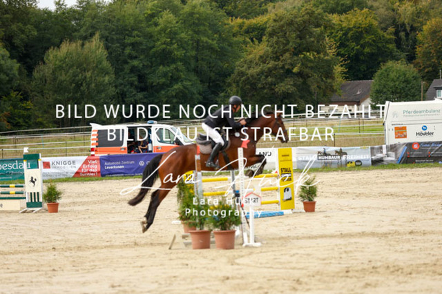 _62_9179 | larahueckfotografie