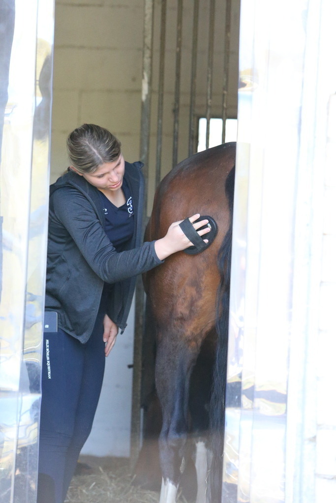 DL2Q3099 | Willkommen bei Brunnmayr - Design & Fotografie – Ihrem Spezialisten für Reitturniere und Pferdeveranstaltungen in Oberösterreich, Salzburg und Bayern! Seit über 17 Jahren sind wir leidenschaftlich dabei.