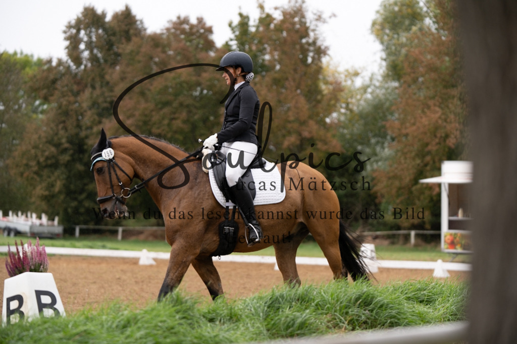 A7V05585 | Pferdefotograf