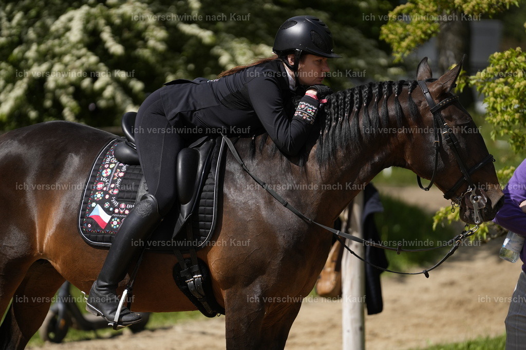 PI26_COW_Stoibphotography_A749492.JPG | working equitationturnier fotograf videograf stoibphotography marixx film working equitation deutschland reitsport turnierfotografie eventfotografie equestrian events