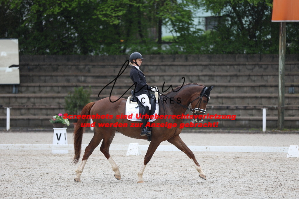 A40A7848 | lmwpictures - Realisiert mit Pictrs.com