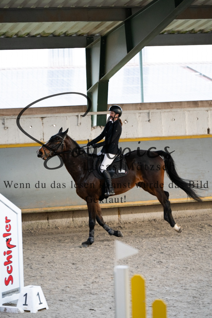 A7V01751 | Pferdefotograf