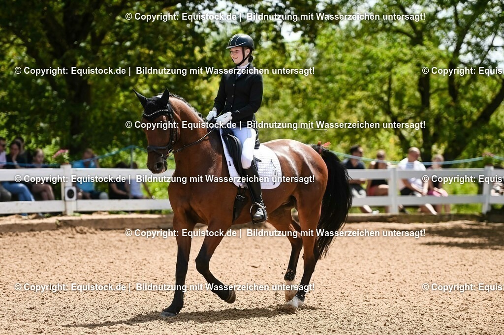 20230716_03_Dressurprfg. Kl.L - Tr._0073 | equistock