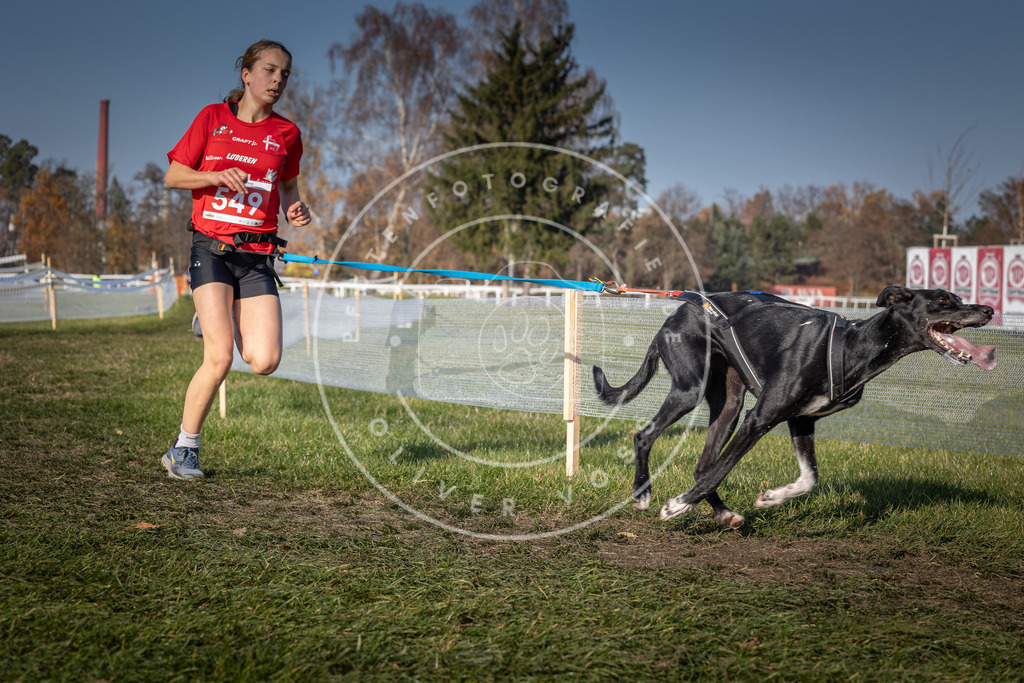 CaniXpix_0L8A9072 | Hundefotografie, Tierfotograf, Pfotenfotografie, Fotoshooting Hund, Hunde Portrait, Hundesport, Hundeportraits, Heideshooting, Hunde, Sportfotograf, Hundefotograf, Turnierhundsport, THS,  - Realisiert mit Pictrs.com
