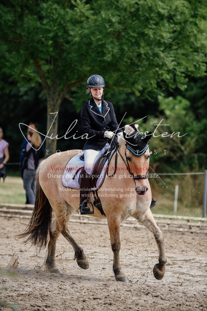 DSC_1631 | Pferde- und Turnierfotografie in Westsachsen. Pferdeportraits, Auftragszeichnungen und intuitive Kunst.