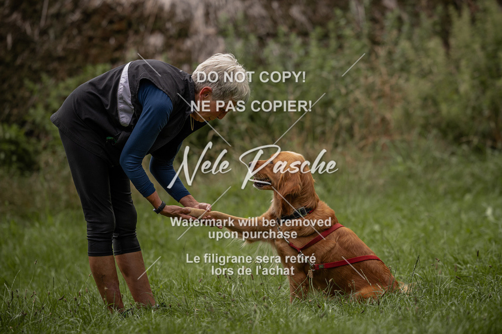 nelerasche_DoN_92 | nelerasche