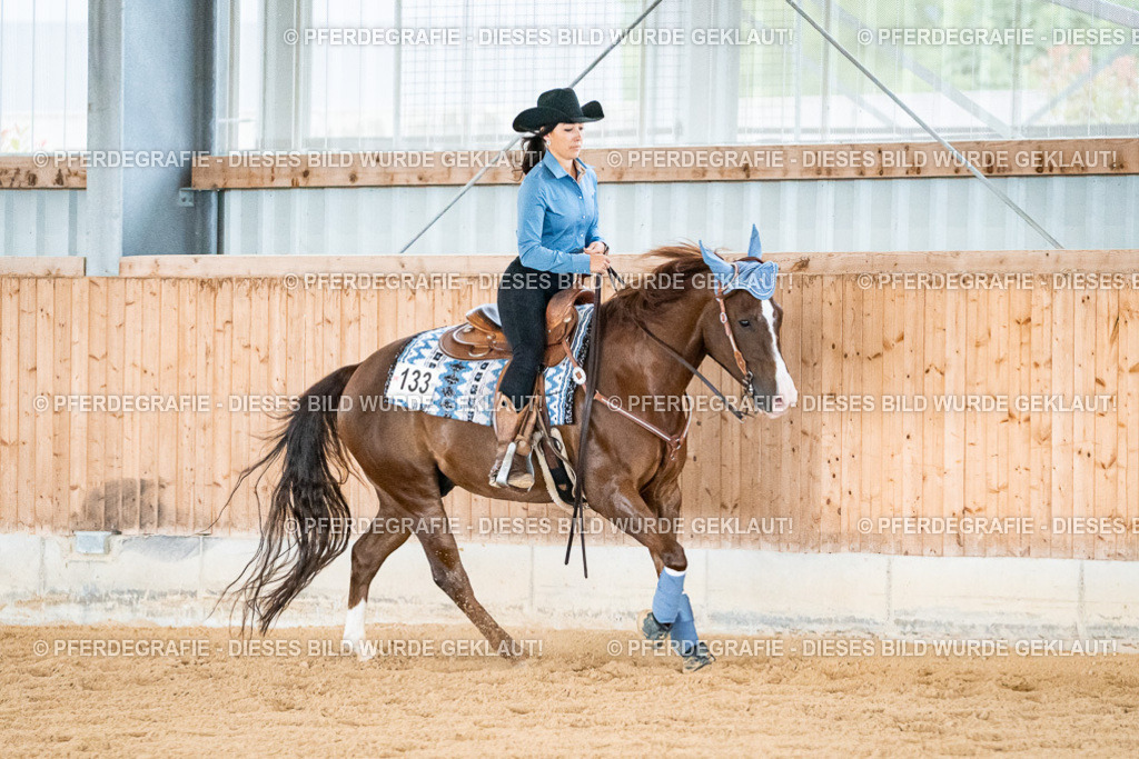 DSC00012 | Pferdegrafie