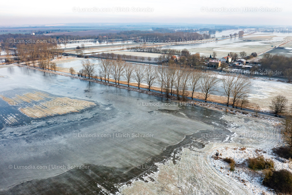 10049-51837 - Hochwasser im Großen Bruch | Stockfoto und Bilderpool mit Bildmaterial aus Deutschland, dem Harz, Halberstadt, Quedlinburg, Wernigerode und weltweit. Qualitativ hochwertige und professionelle Fotos anschauen und kaufen. - Realisiert mit Pictrs.com