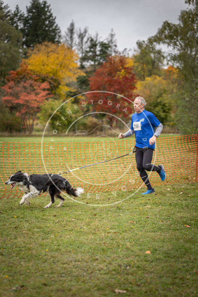 Pfotenfotografie_DV3A4070 | Hundefotografie, Tierfotograf, Pfotenfotografie, Fotoshooting Hund, Hunde Portrait, Hundesport, Hundeportraits, Heideshooting, Hunde, Sportfotograf, Hundefotograf, Turnierhundsport, THS,  - Realisiert mit Pictrs.com