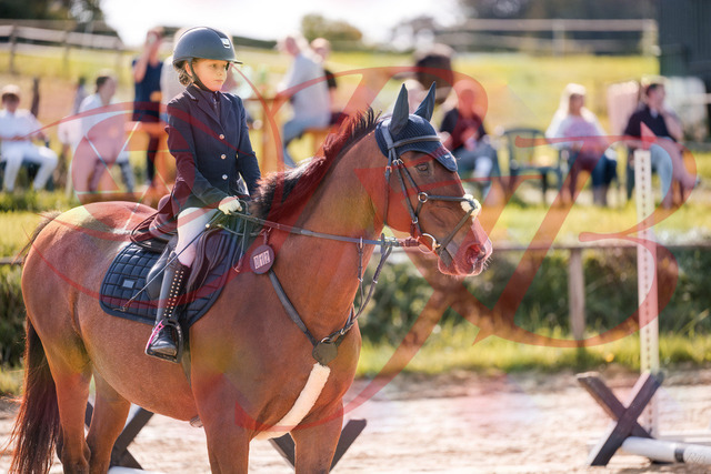 2026_10_03_Siefer-Hof_143840_Z81_09243001 | Professionelle Reitsport-, Turnier- und Eventfotografie von Robert Broda. Galerien mit ausgewählten und bearbeiteten Bildern direkt online ansehen und bestellen.