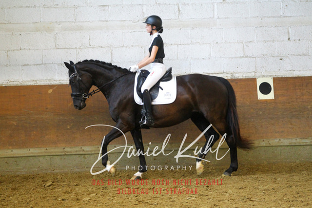 DKP44065 | Turniersportfotografie; Pferdefotografie; Dressurfotografie