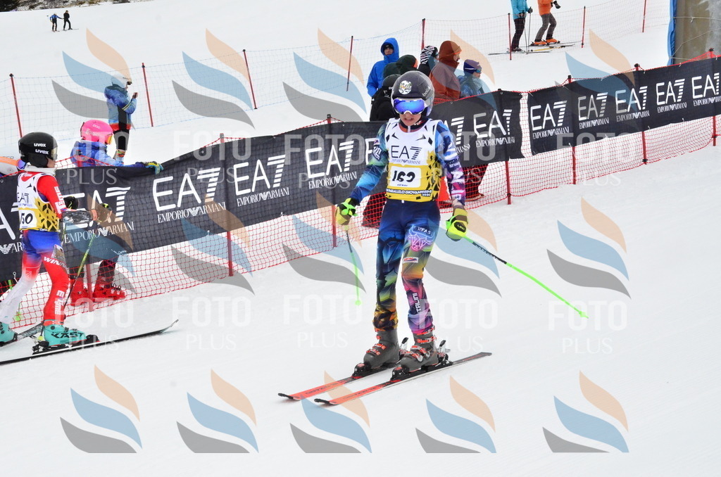 _ELE3872 | holidayphoto