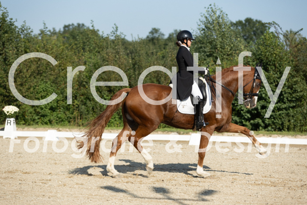IMG_6340 | Creatify Fotografie