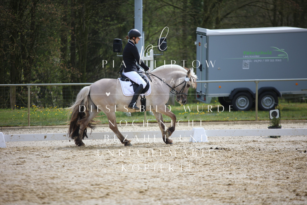 IMGT3264 | pl-fotografie