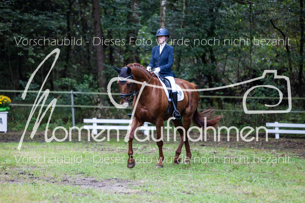 HB-A-Dressur-044 | MomenTaufnahmen Pferdesportfotos