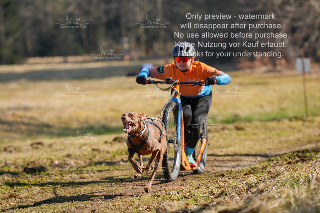 Scooter_So-9 | stephaniefillaphotographie - Realisiert mit Pictrs.com