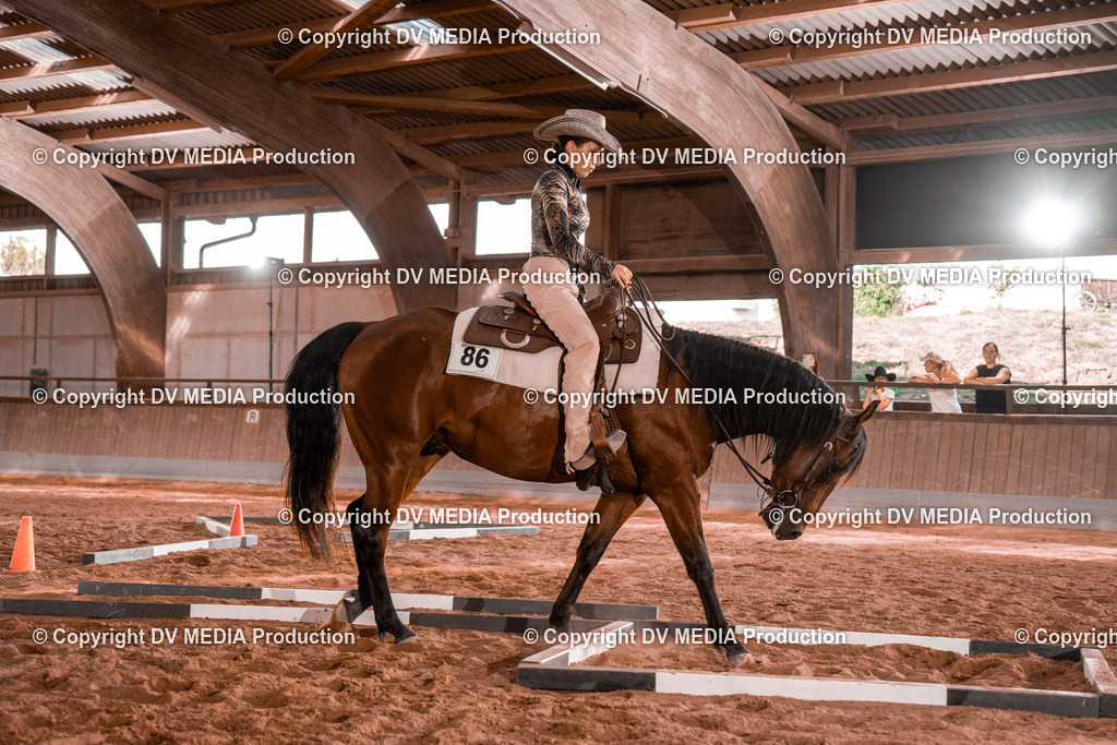 NE200212 | dv-media-shop - Realisiert mit Pictrs.com