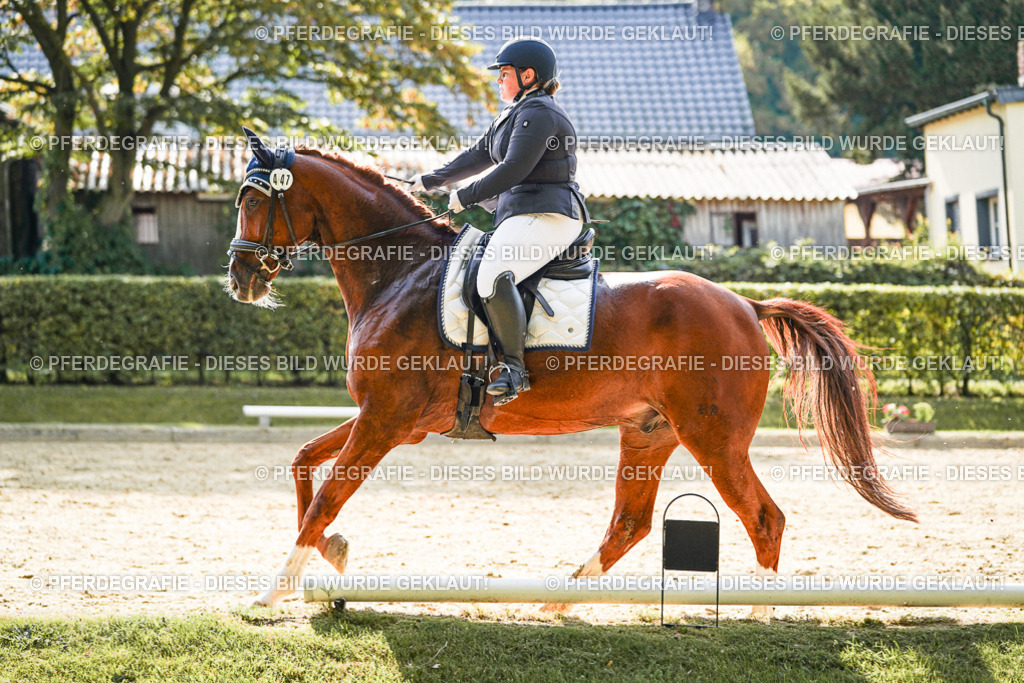 DSC08024 | Pferdegrafie