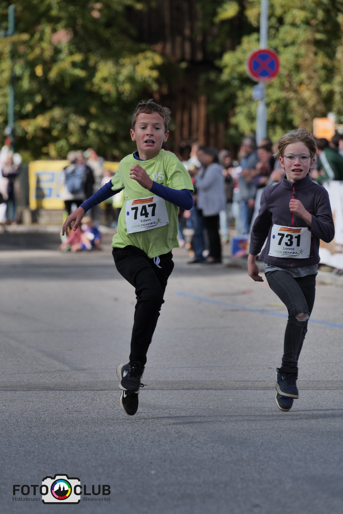 P1039341 | Foto Buchgraber