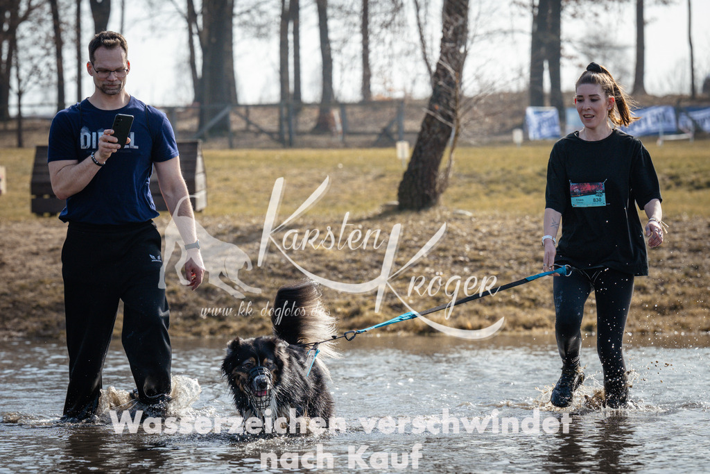1133_ZZ95540 | kk-dogfotos