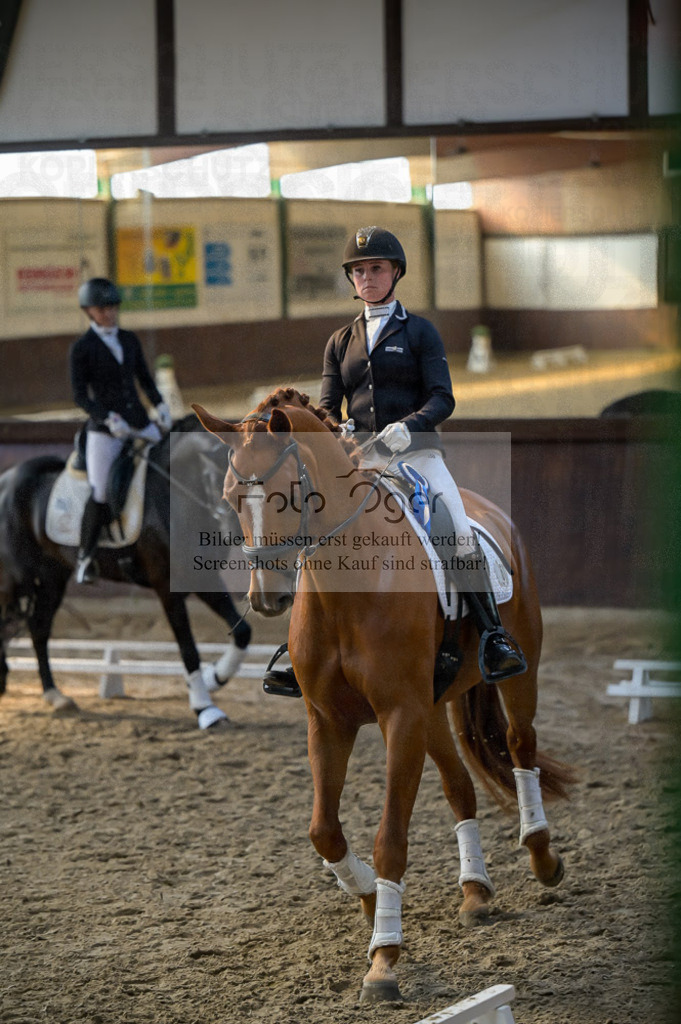 Reitturnier Voxtrup | Entdecke hochwertige Reitturnierfotos von Foto Oger. Professionell, emotional und authentisch – jetzt Lieblingsmomente im Shop bestellen.Deutschlandweite Turnierfotografie. - Realisiert mit Pictrs.com