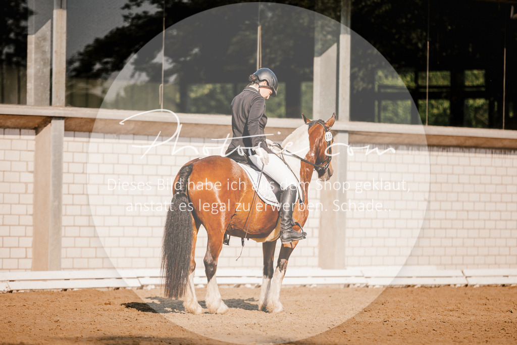 3I6A8685 | Stimmungsvolle Portraits und Reitsportfotografie im Ruhrgebiet und im Münsterland.

Pferdefotografie, Hundefotografie, Tierfotografie, Reportagen, Portraits von Tier und Mensch, Turnierfotografie in Bochum, Recklinghausen, Marl, Haltern am See, Dülmen.. - Realisiert mit Pictrs.com