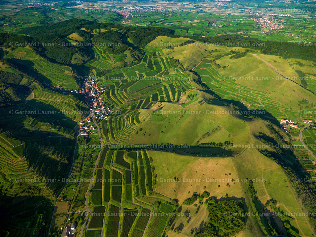 2731846 | Blick über den Kaiserstuhl bei Schelingen in Richtung Süden