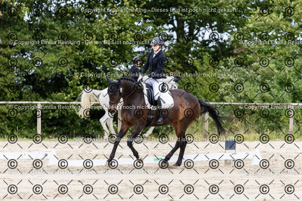 CL5A4521 | Emilia Reinking Fotografie - Realisiert mit Pictrs.com