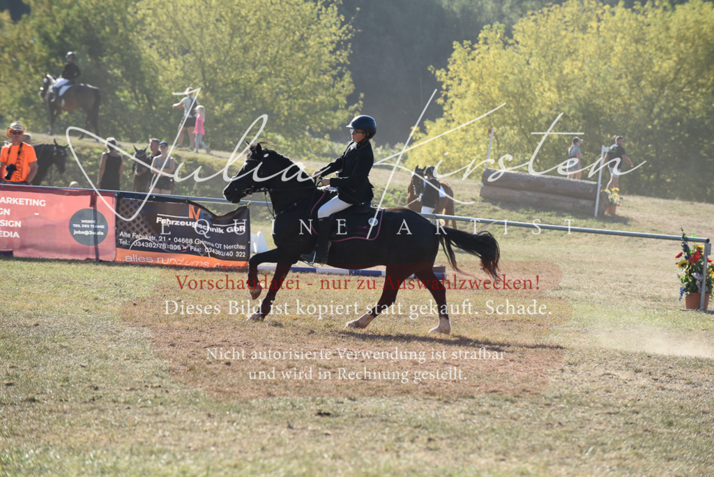 DSC_5757 | Pferde- und Turnierfotografie in Westsachsen. Pferdeportraits, Auftragszeichnungen und intuitive Kunst.