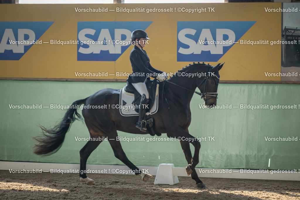 _D5A8486 | Emotionale Pferde- & People-Fotografie rund um Heidelberg, Leimen & Umgebung. Natürliche Fotos von Pferd, Mensch & Familie. Jetzt Termin sichern!