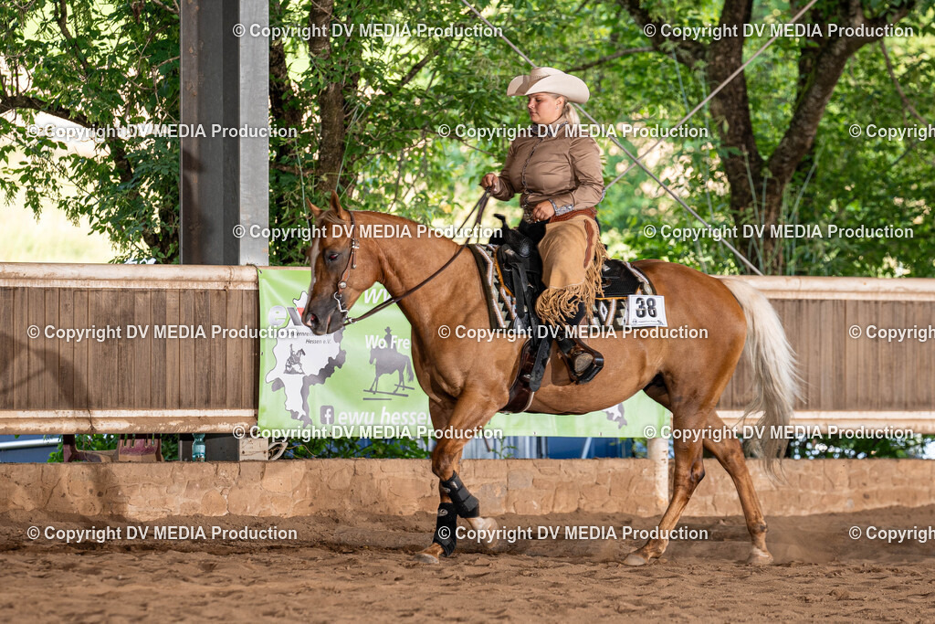 Erbach Tag 1-1124 | dv-media-shop - Realisiert mit Pictrs.com