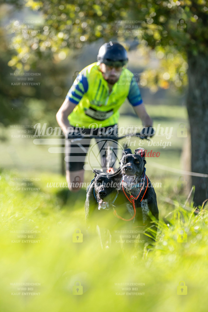 MompixPhotography_20TSB_E3_DS2-8 | PayLife