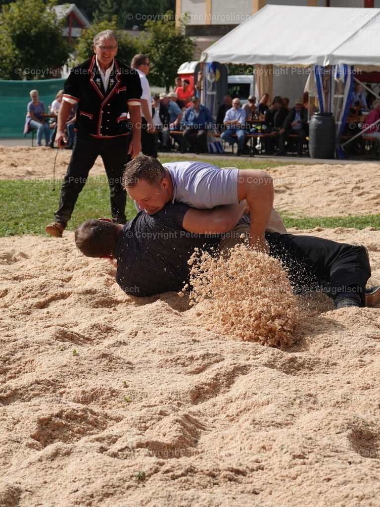 DSC05748 | Schwingen - Realisiert mit Pictrs.com