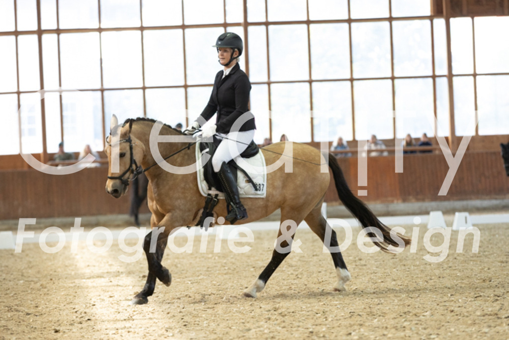 IMG_5547 | Creatify Fotografie