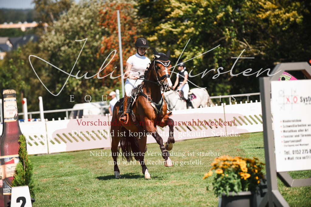 DSC_2831 | Pferde- und Turnierfotografie in Westsachsen. Pferdeportraits, Auftragszeichnungen und intuitive Kunst.