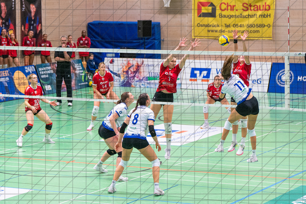 2. VBLF Nord 25/26 | Spiel 4017 | VC Osnabrück vs. Potsdam II | MASSELINK Lisanne (VC Osnabrück e.V. #11) //  25.10.25: 2. VBLF Nord 25/26 | Spiel 4017 | VC Osnabrück vs. Potsdam II / Osnabrück / Deutschland  //   CREDIT:www.bullenfotos.de, Martin König, Hörner Weg 40, D-49078 Osnabrück, +4917663732967 // Nutzung und Weitergabe nur zu den vereinbarten Zwecken. Presseanfragen an Ersteller. Alle Rechte beim Ersteller. Honorierung nach MFM. - Realisiert mit Pictrs.com