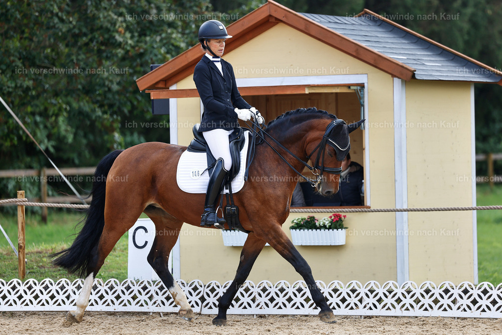 05-146-DRESSUR M_  -StoibPH-4940 | working equitationturnier fotograf videograf stoibphotography marixx film working equitation deutschland reitsport turnierfotografie eventfotografie equestrian events