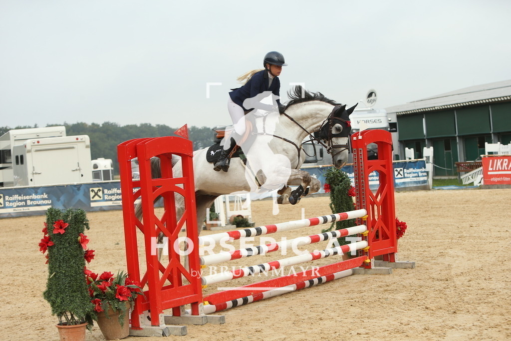 DL2Q6359 | Willkommen bei Brunnmayr - Design & Fotografie – Ihrem Spezialisten für Reitturniere und Pferdeveranstaltungen in Oberösterreich, Salzburg und Bayern! Seit über 17 Jahren sind wir leidenschaftlich dabei.
