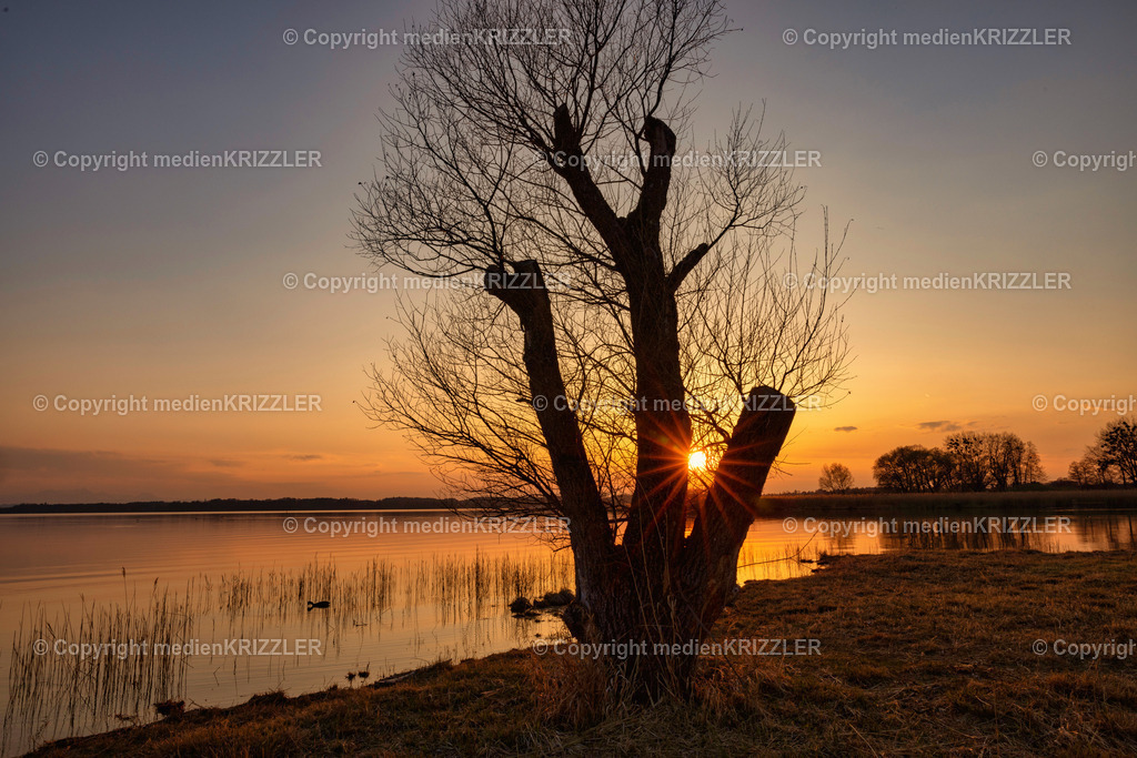 _J3A0494 | medienkrizzler - Realisiert mit Pictrs.com