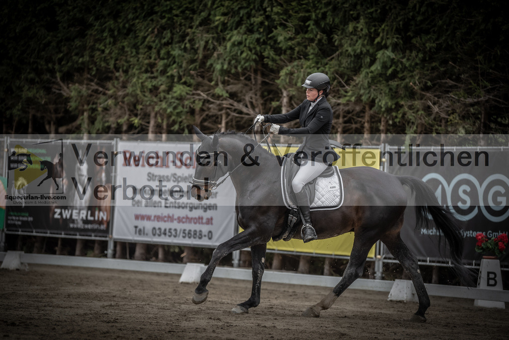 DSC_9299 | equestrian-live-com