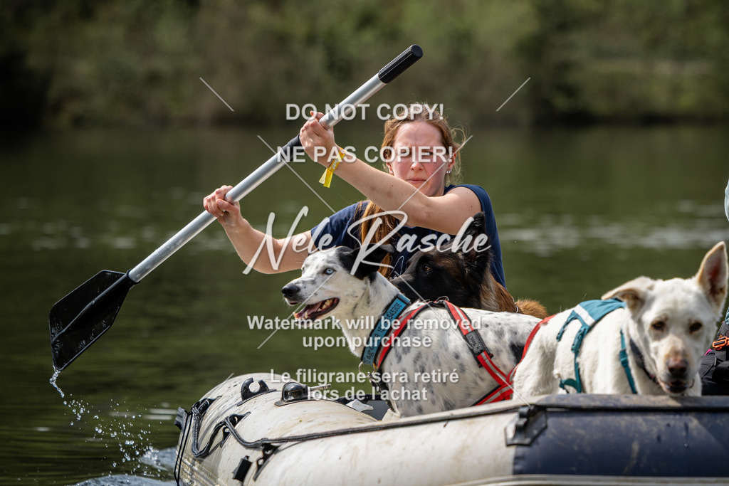 nelerasche_TheGame2026_SoBoot_137 | nelerasche