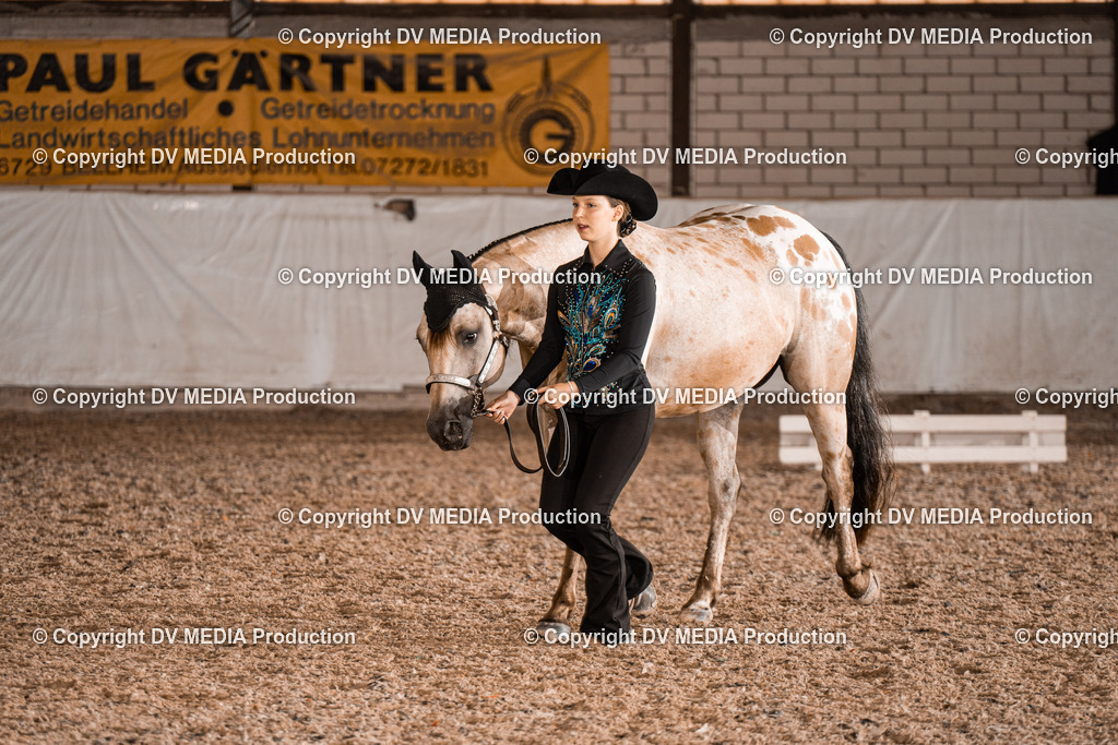 ZH200218 | dv-media-shop - Realisiert mit Pictrs.com