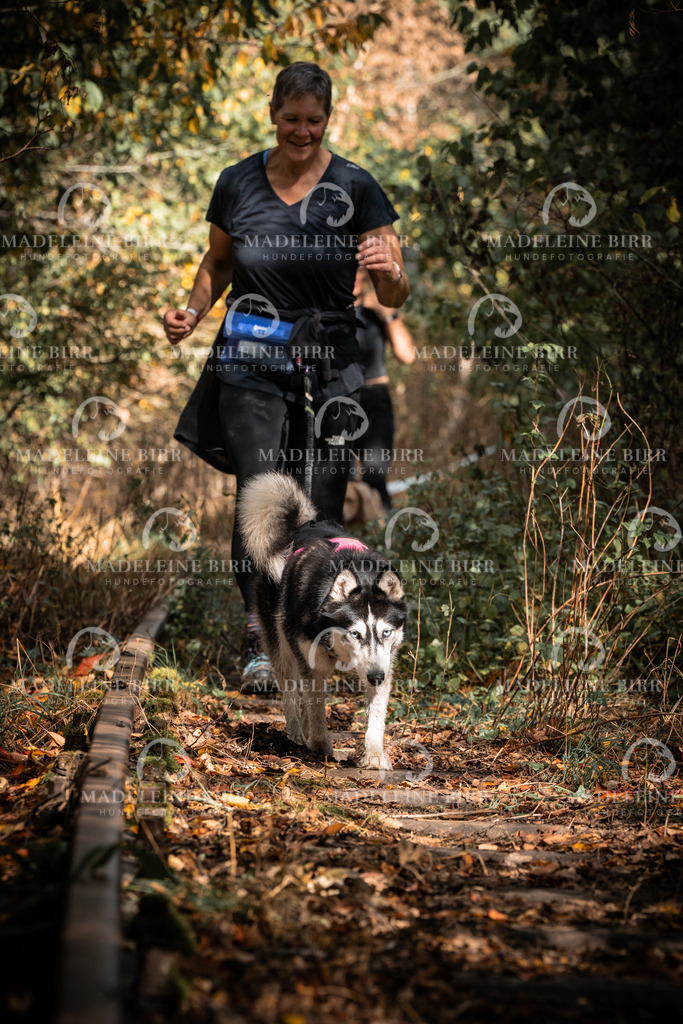 madeleinebirr.fotografie.2026.cc.hunsrueck.12-13Uhr.258 | hundefotografie-birr