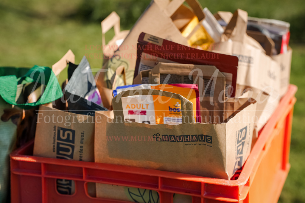 20250928_Hunderennen-722 | MuT (Mensch und Tier) mit Mona - Fotografie und Tierkommunikation - Realisiert mit Pictrs.com