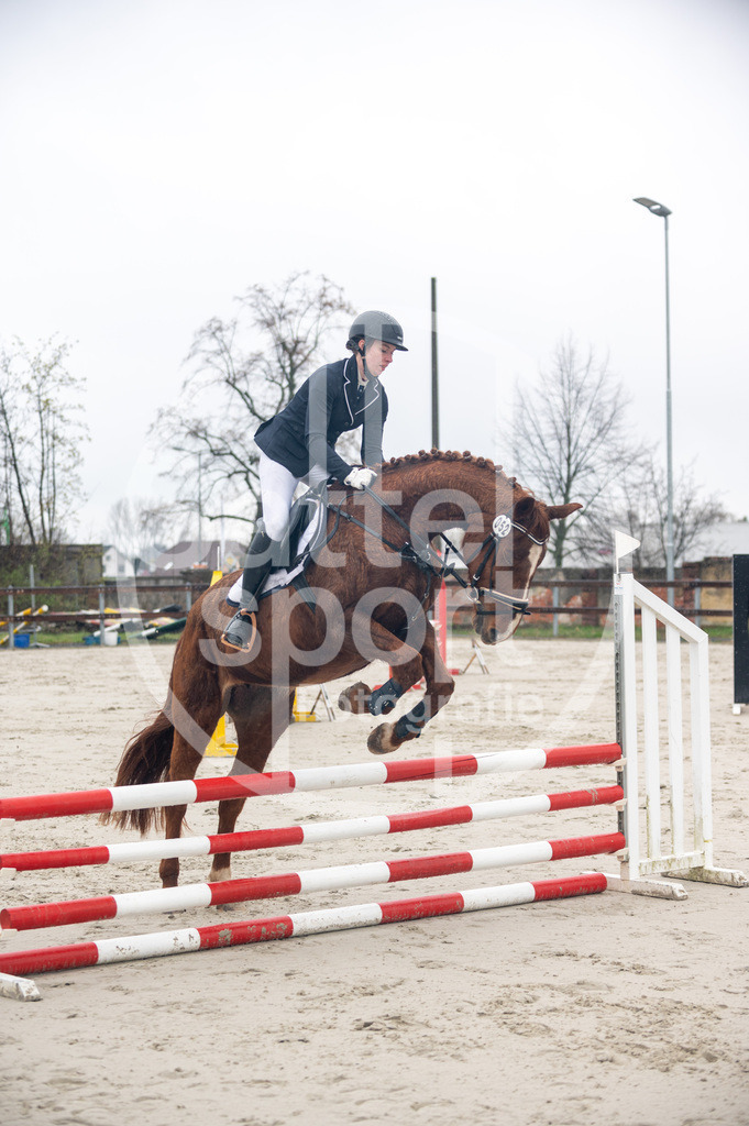 DSC_8490 | sattelsport - Realisiert mit Pictrs.com