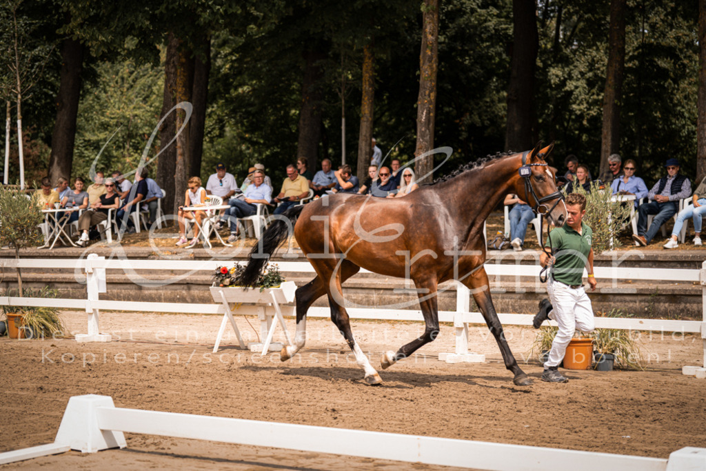 2. Fr00118 | Leoni Ertmer Photography - Realisiert mit Pictrs.com