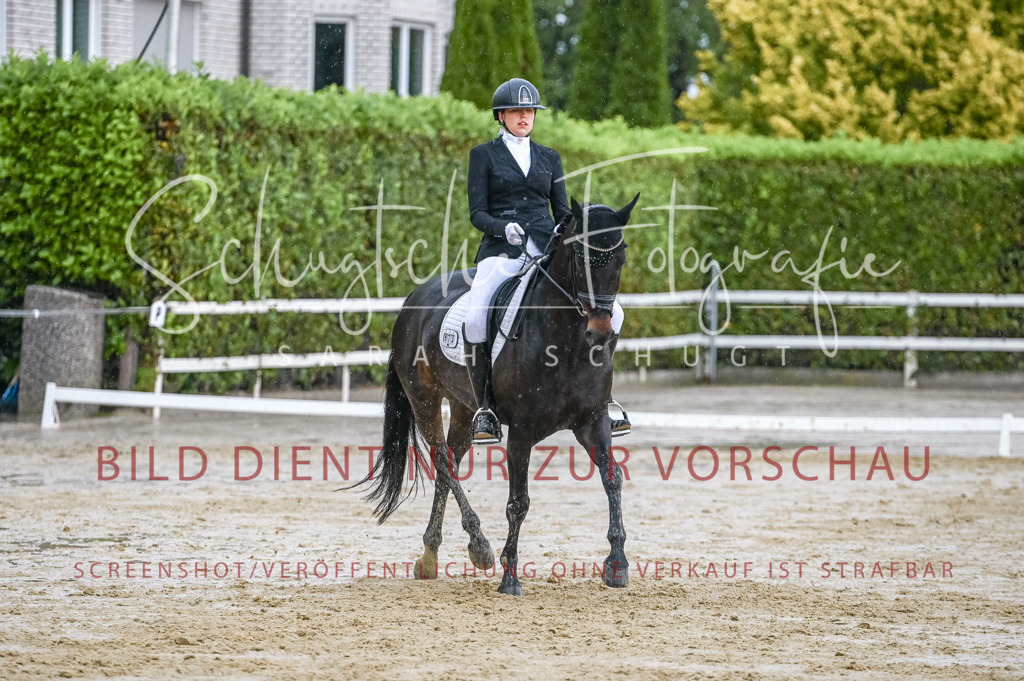 Schugtsche-Aluta25-55.Dressurreiterprf.L1Tr-298 | Schugtsche Fotografie - Realisiert mit Pictrs.com